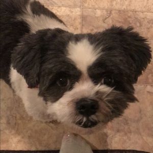 Meet your Posher, Macy